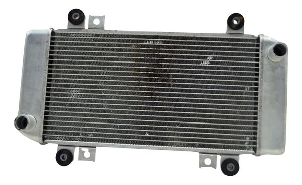 Radiador Kawasaki Ninja 250 R 08-12 Original