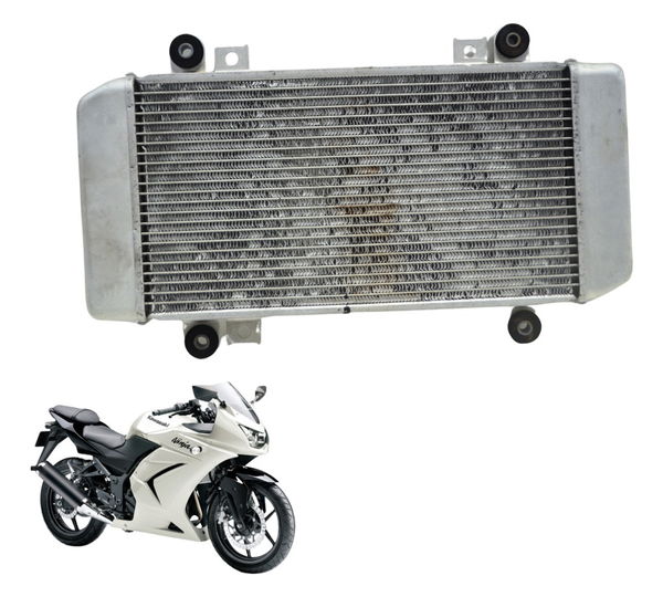 Radiador Kawasaki Ninja 250 R 08-12 Original
