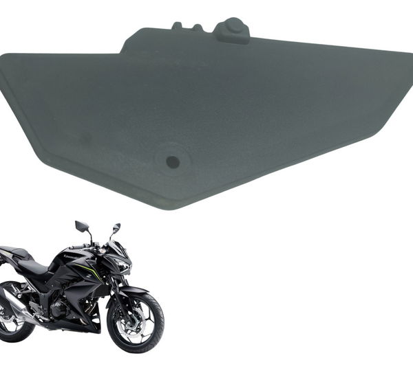 Acabamento Caixa Ar Direito Kawasaki Z 300 13-18 Original