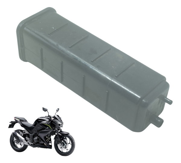 Filtro Canister Kawasaki Z 300 13-18 Original