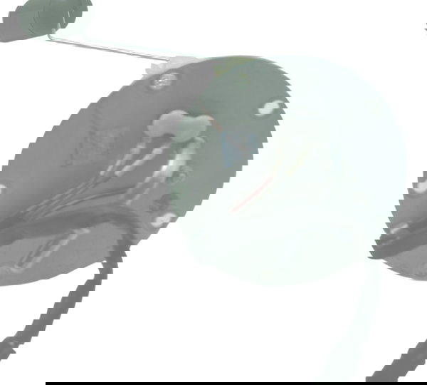 Bomba Combustível Kawasaki Z 300 13-18 Original