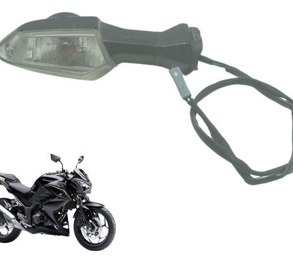 Pisca Traseiro Direito C/ Detalhes Kawasaki Z 300 13-18 Orig