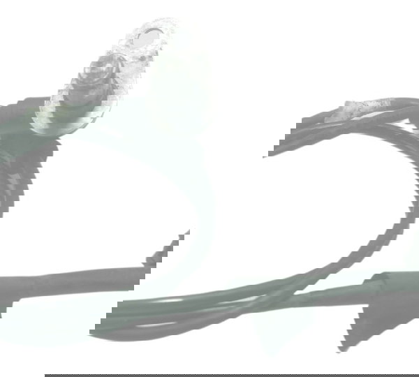 Sensor Abs Dianteiro Kawasaki Z 300 13-18 Original