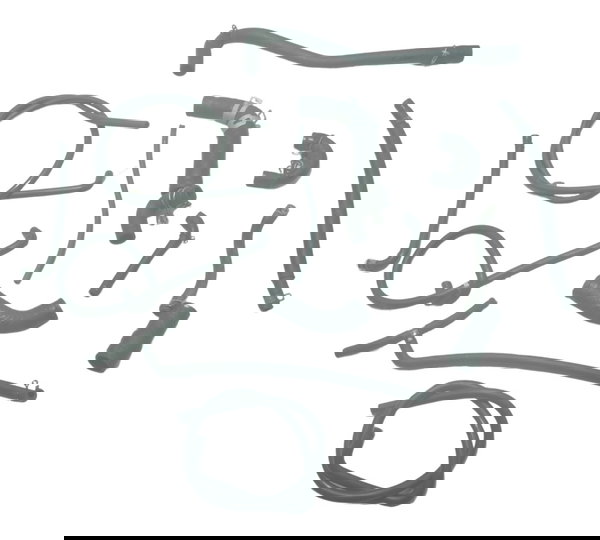 Kit Mangueiras Kawasaki Z 300 13-18 Original