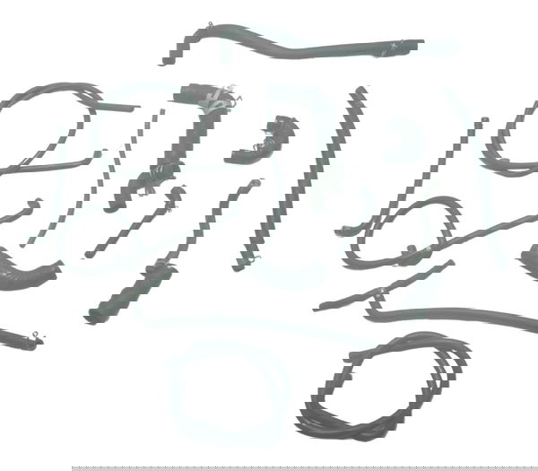 Kit Mangueiras Kawasaki Z 300 13-18 Original