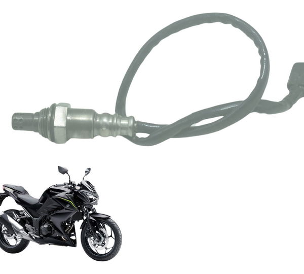 Sonda Lambda Kawasaki Z 300 13-18 Original
