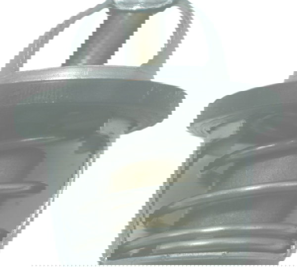 Válvula Termostática Kawasaki Z 300 13-18 Original