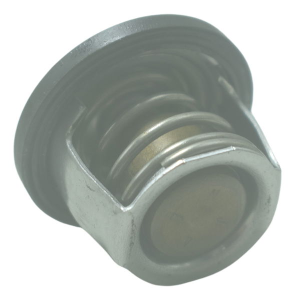 Válvula Termostática Kawasaki Z 300 13-18 Original