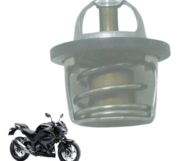 Válvula Termostática Kawasaki Z 300 13-18 Original