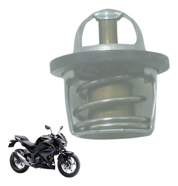 Válvula Termostática Kawasaki Z 300 13-18 Original