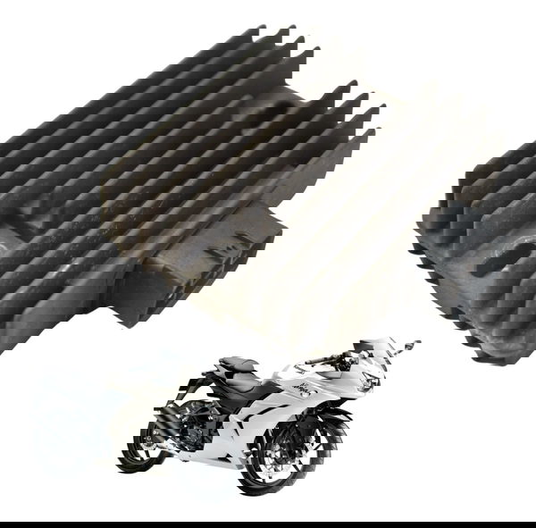 Retificador Carga Kawasaki Ninja 250 R 08-12 Original 12v