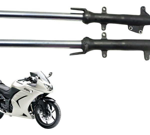 Par Bengalas Kawasaki Ninja 250 R 08-12 Original