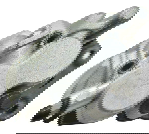 Pinça Freio Traseira Kawasaki Ninja 250 R 08-12 Original