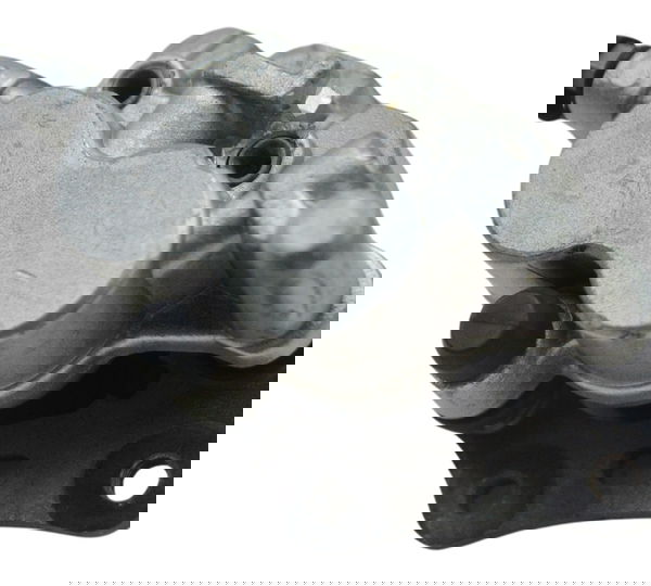 Pinça Freio Traseira Kawasaki Ninja 250 R 08-12 Original