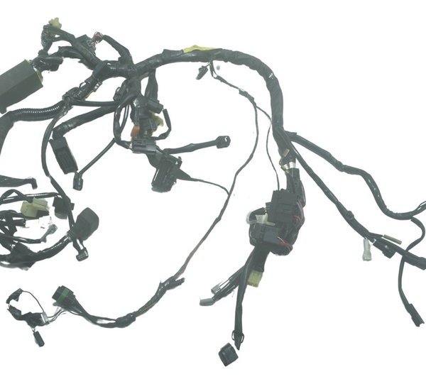 Chicote Principal C/ Abs Yamaha Mt 07 15-18 Original