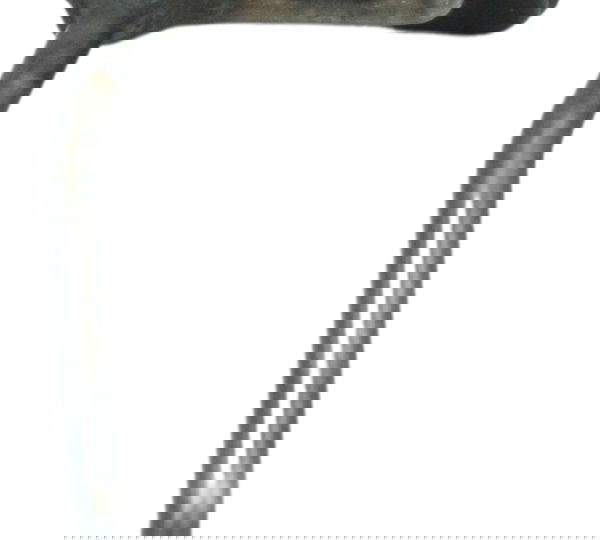 Pescador Óleo Kawasaki Ninja 250 R 08-12 Original