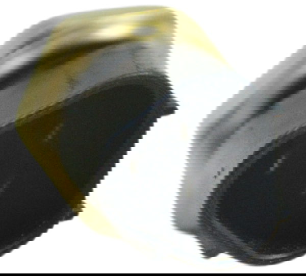 Sensor Temperatura Kawasaki Ninja 250 R 08-12 Original