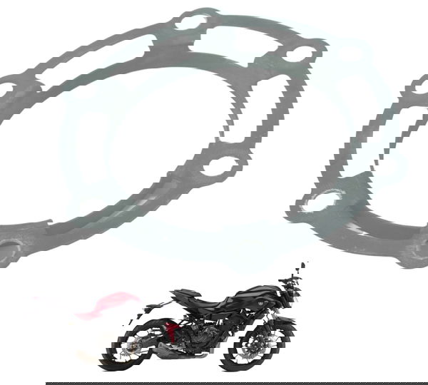 Acabamento Coroa Roda Traseira Yamaha Mt 07 15-18 Original