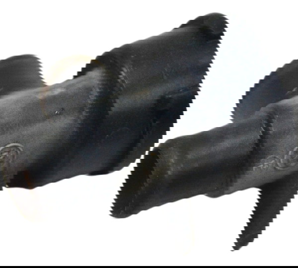 Bocal Radiador C/ Avaria Kawasaki Ninja 250 R 08-12 Original