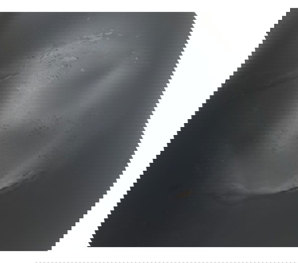 Paralama Diant C/ Det Harley Dyna Super Glide Fxd 09-11 Orig