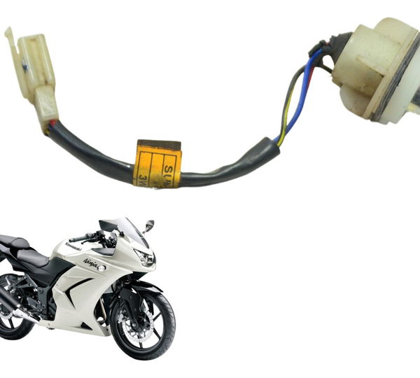 Chicote Lanterna Traseira Kawasaki Ninja 250 R 08-12 Orig Direito Vermelho