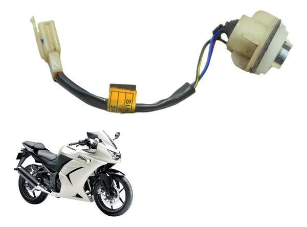 Chicote Lanterna Traseira Kawasaki Ninja 250 R 08-12 Orig