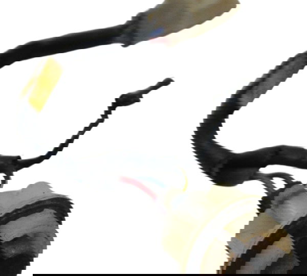 Chicote Lanterna Kawasaki Ninja 250 R 08-12 Original