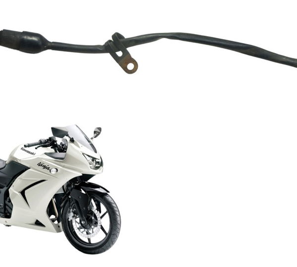 Interruptor Freio Traseiro Kawasaki Ninja 250 R 08-12 Orig