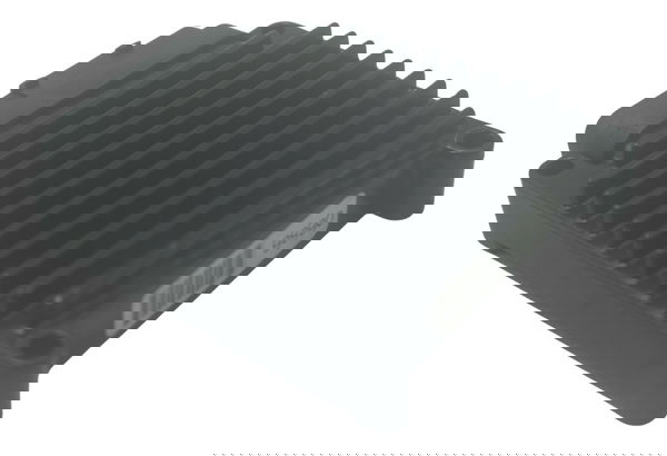 Modulo Ecm Harley Dyna Super Glide Fxd 09-11 Original