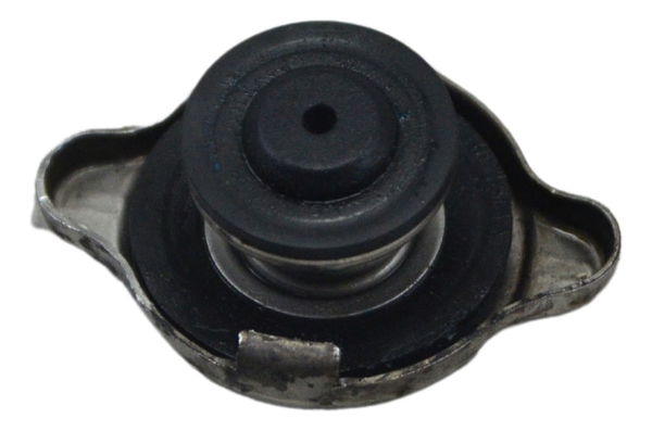 Tampa Radiador Bmw F 700 Gs 2017 Original