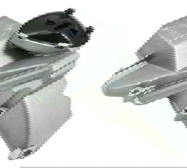 Pescador Óleo Bmw F 700 Gs 2017 Original