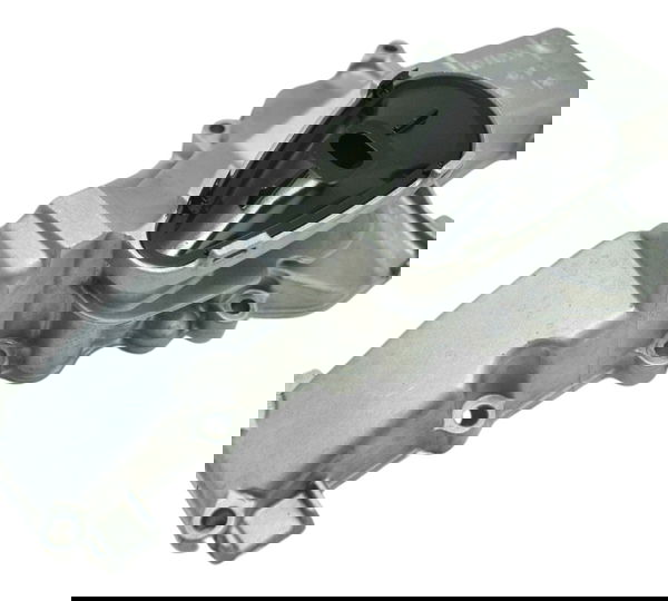 Pescador Óleo Bmw F 700 Gs 2017 Original