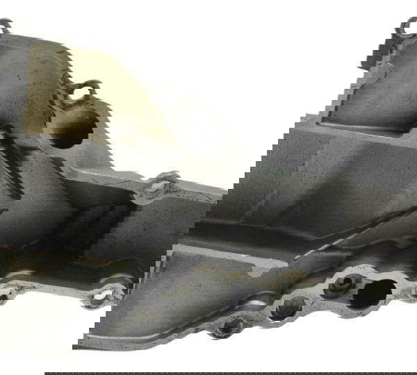 Pescador Óleo Bmw F 700 Gs 2017 Original