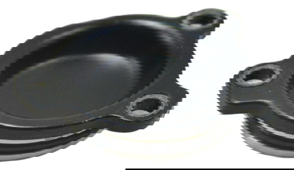 Tampa Motor Bmw F 700 Gs 2017 Original