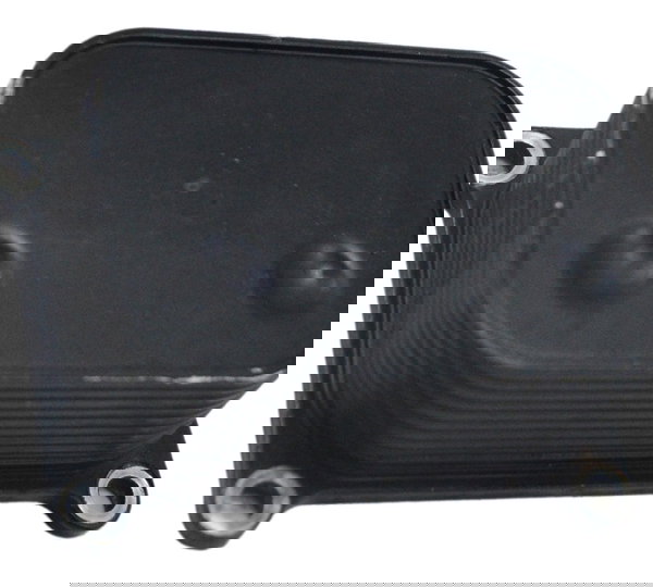 Resfriador Óleo Bmw F 700 Gs 2017 Original