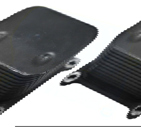 Resfriador Óleo Bmw F 700 Gs 2017 Original