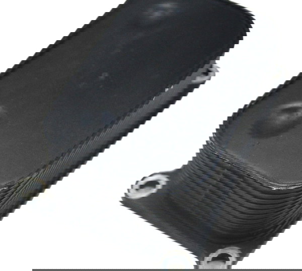 Resfriador Óleo Bmw F 700 Gs 2017 Original