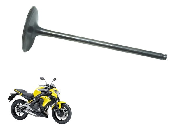 Válvula Admissão Kawasaki Er6n Er-6n 10-12 Original