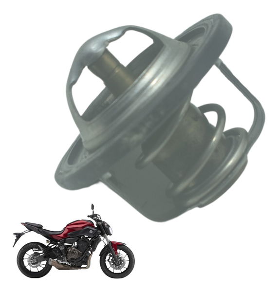 Válvula Termostática Yamaha Mt 07 15-18 Original