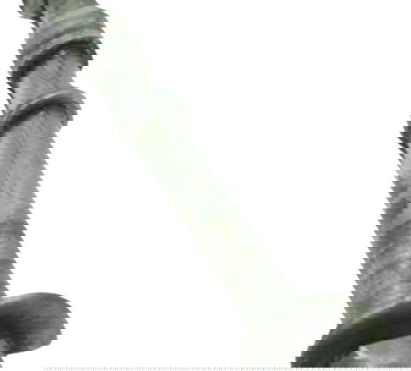 Eixo Roda Traseira Harley Night Rod 12-16 Original