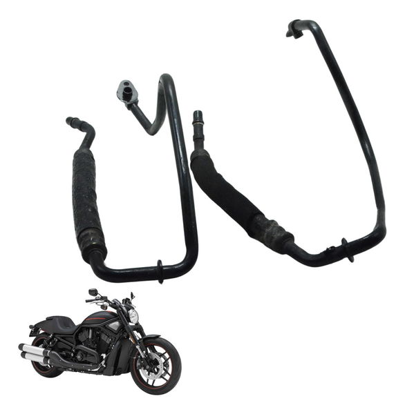 Par Mangueira Óleo Harley Night Rod 12-16 Original