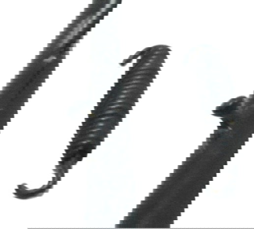 Pedal Descanso Lateral Harley Night Rod 12-16 Original