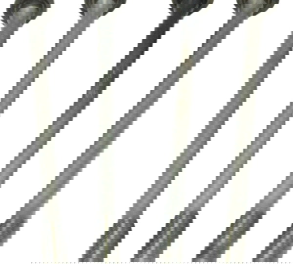 Jogo Parafuso Cabeçote Royal Enfield Himalayan 19-23 Orig