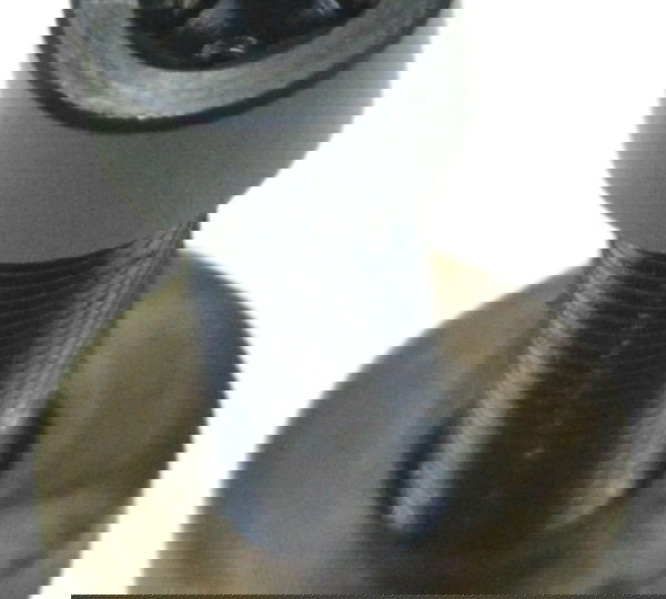 Parafuso Magneto Triumph Tiger 900 Rally Pro 20-24 Original