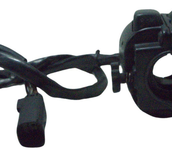Chave Punho Luz Esq C/ Detalhes Harley Night Rod 12-16 Orig