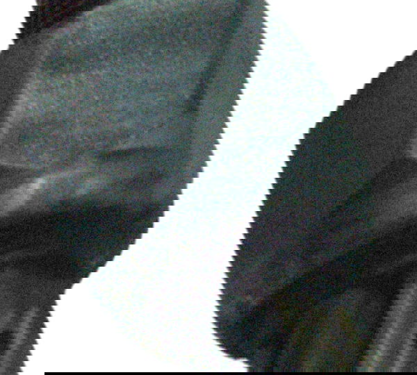 Interruptor Freio Traseiro Harley Night Rod 12-16 Original