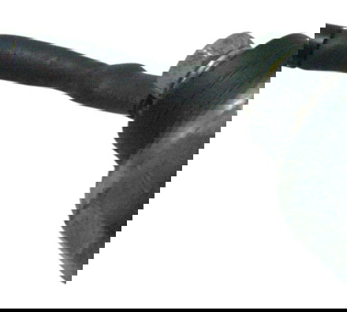 Sensor Óleo Honda Cbr 1000rr 12-15 Original