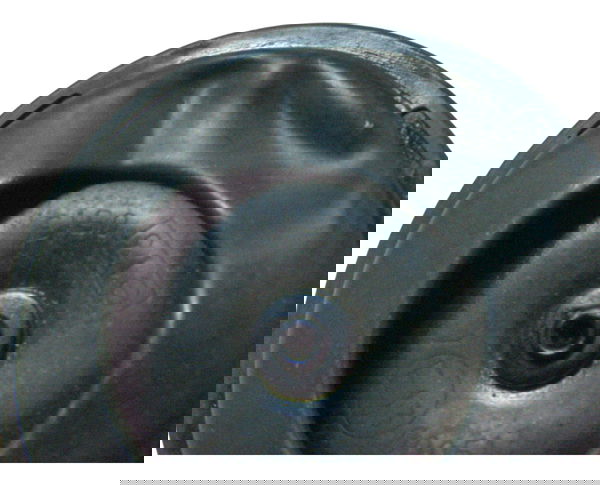 Buzina C/ Detalhes Honda Nxr 160 Bros 15-23 Original