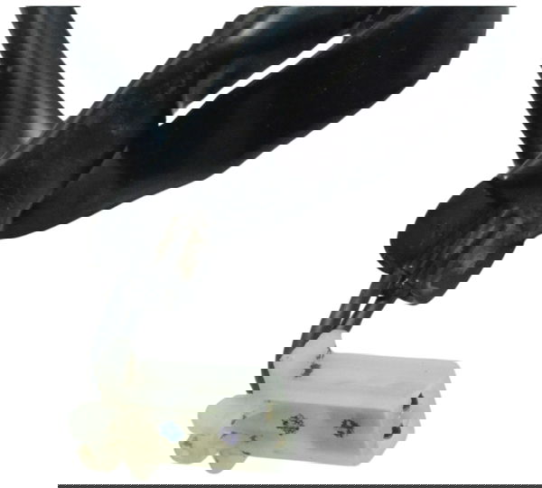 Interruptor Freio Traseiro Honda Nxr 160 Bros 15-23 Original