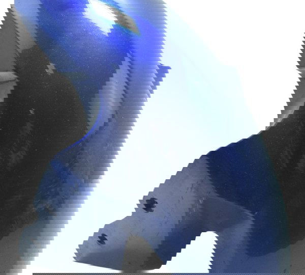 Paralama Dianteiro C/ Detalhes Bmw S 1000r 18-20 Original